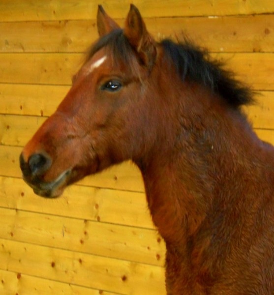 Photo de profil de louppy2