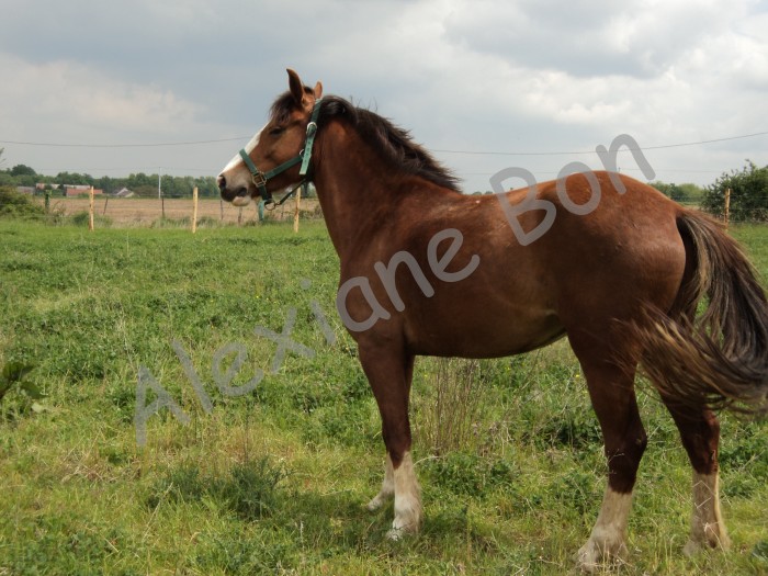 Photo de profil de roxannedesmonts