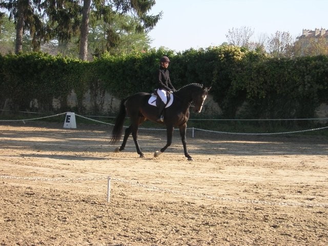 Photo de profil de aseginger