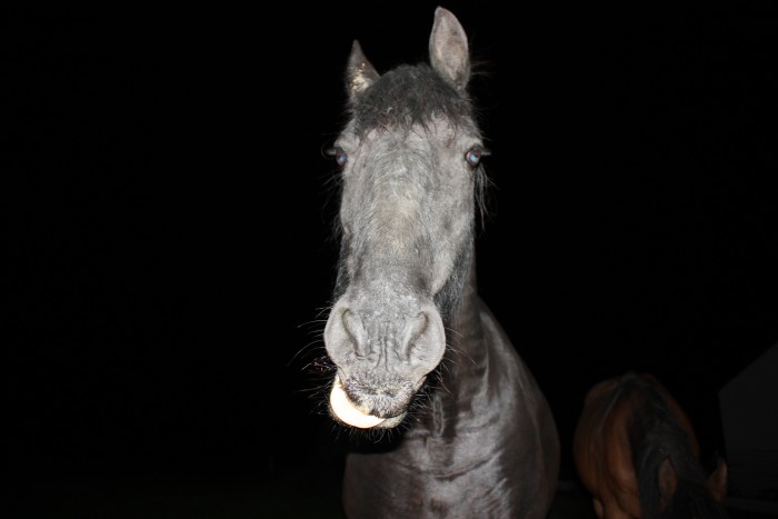 Photo de profil de bricecilou