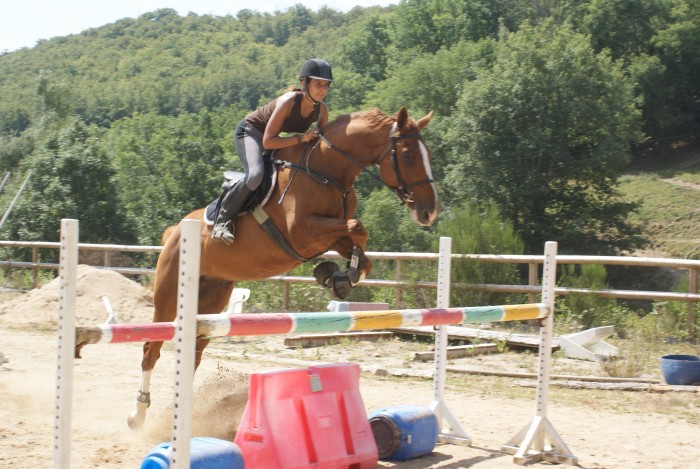 Photo de profil de alexpapillon