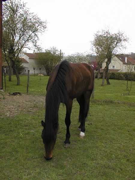 Photo de profil de solenn77