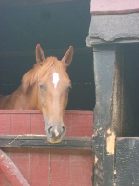Photo de profil de galipette