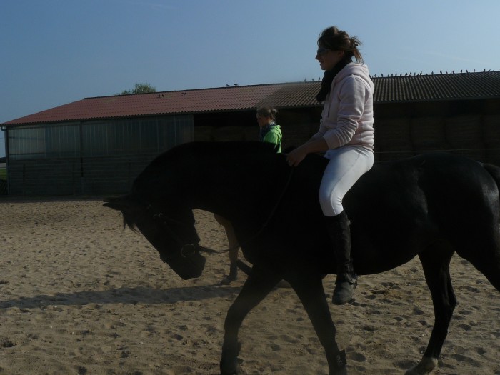 Photo de profil de stefanylahie