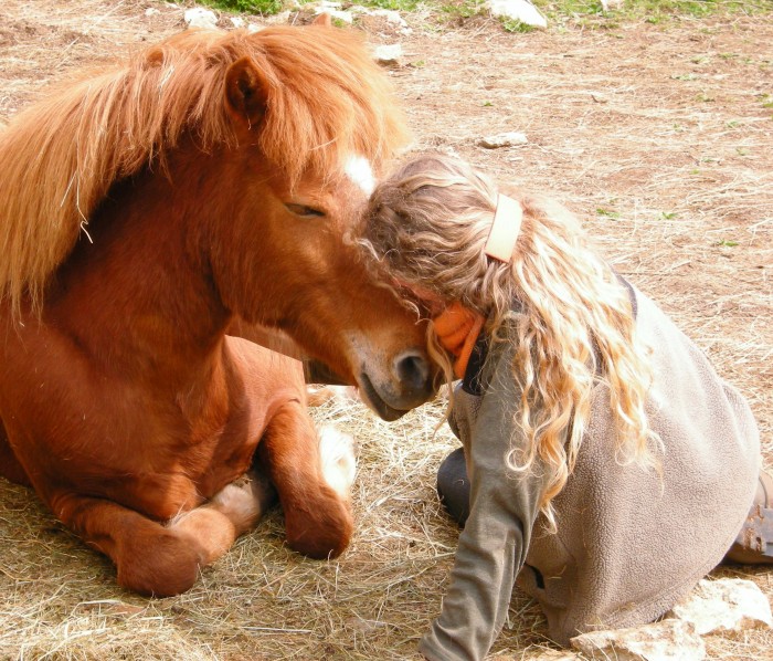 Photo de profil de drachin