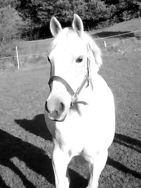 Photo de profil de matilde92