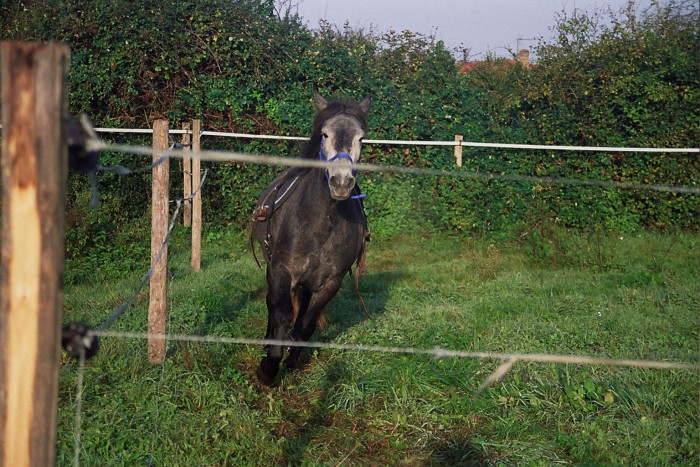 Photo de profil de 0545230907