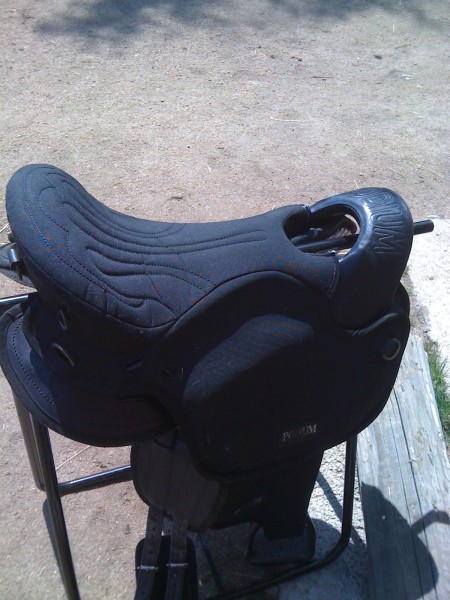 Photo de profil de cavallu