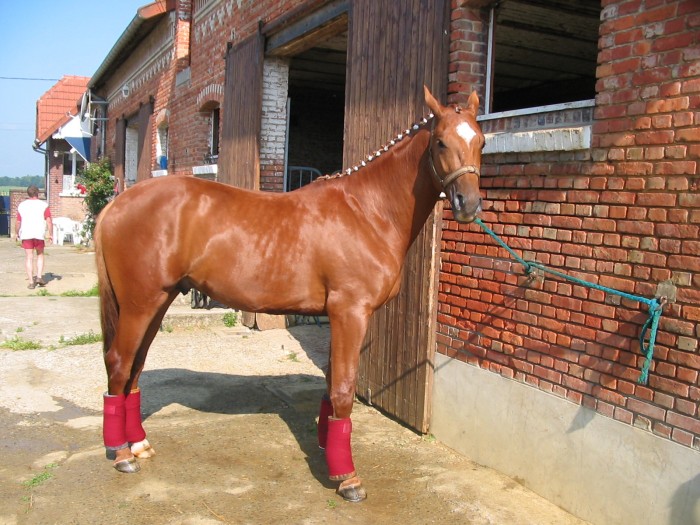 Photo de profil de meliandre