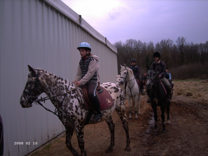 Photo de profil de fandequitation