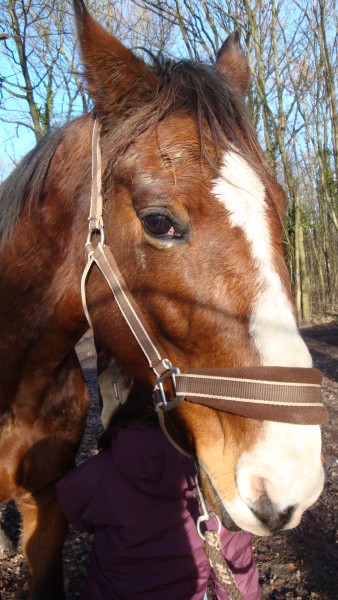 Photo de profil de natitoue