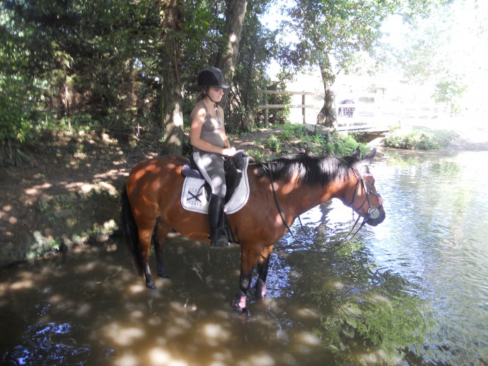 Photo de profil de hawai-jtm