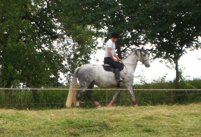 Photo de profil de grem32