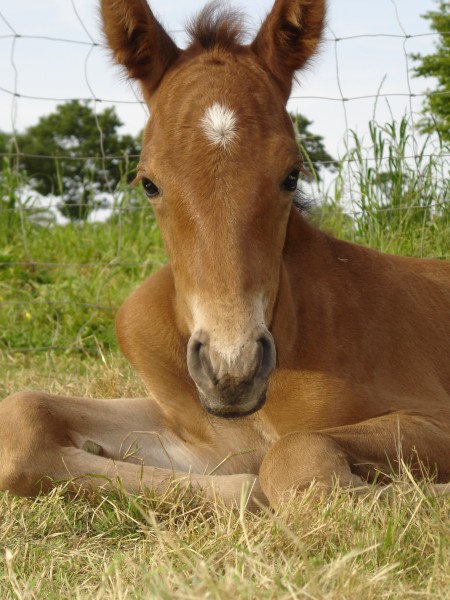 Photo de profil de fararoyce