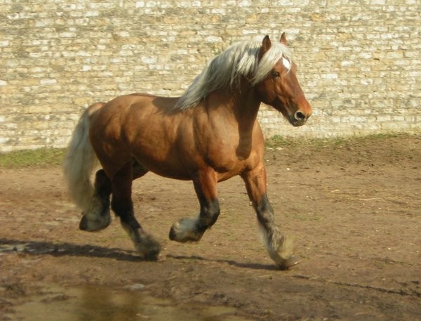 Photo de profil de clare712