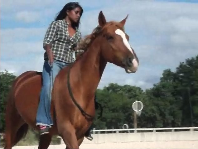 Photo de profil de lilouw