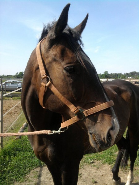 Photo de profil de prissie