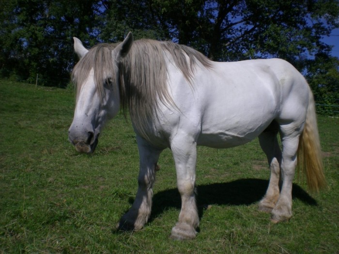 Photo de profil de avana