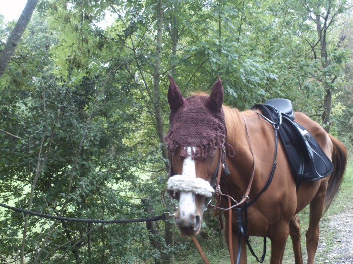 Photo de profil de mad54