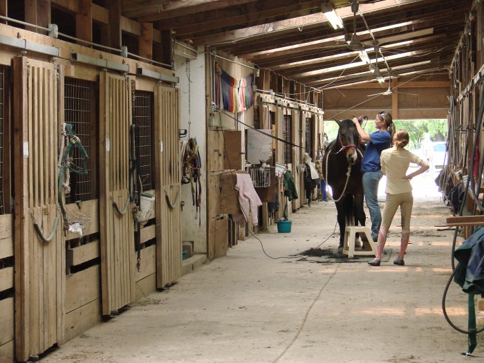 Photo de profil de sarasota