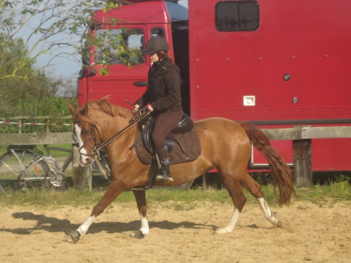Photo de profil de kendar91
