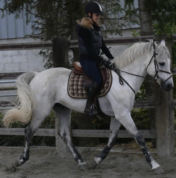 Photo de profil de myrtille56