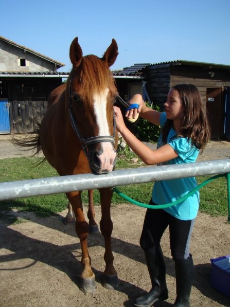 Photo de profil de cloclo77