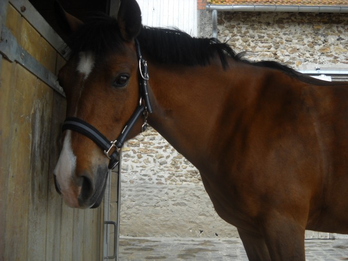 Photo de profil de jamna78