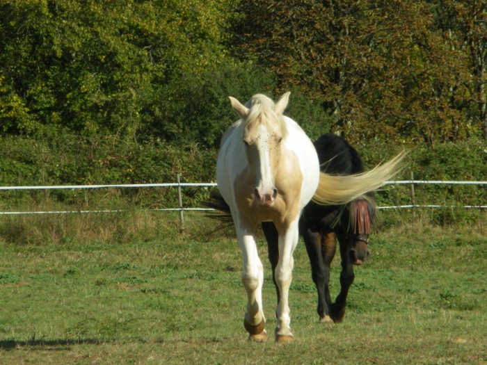 Photo de profil de vagary