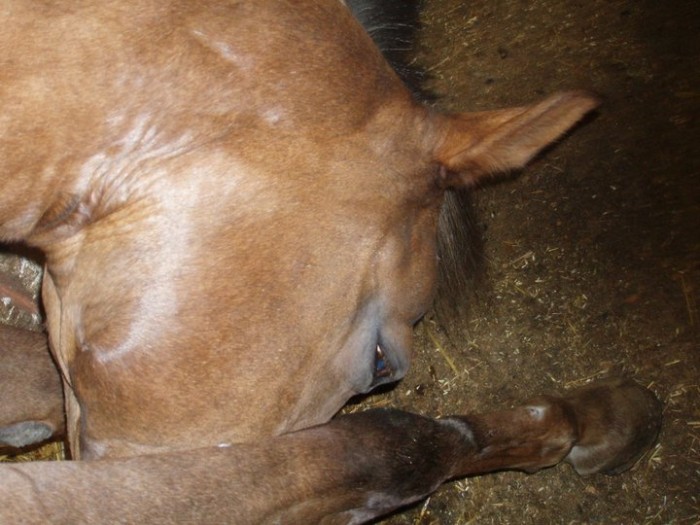 Photo de profil de mirage91