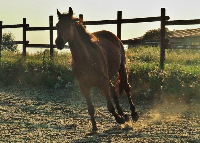 Photo de profil de kathleen57