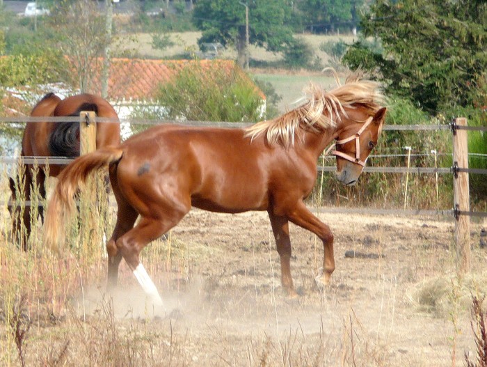 Photo de profil de bounifm