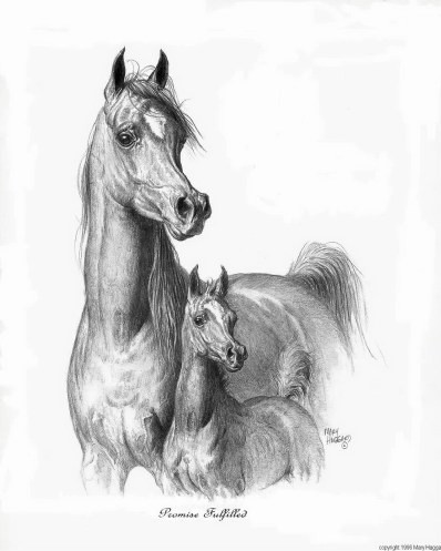 Photo de profil de frevent