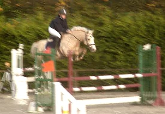 Photo de profil de e.d.n