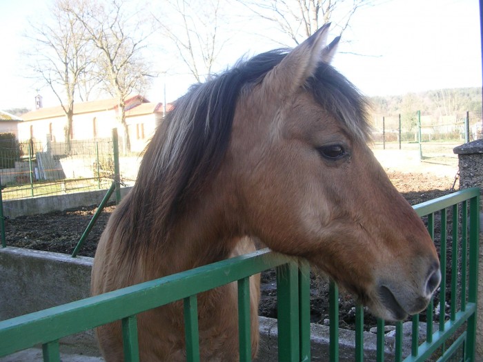 Photo de profil de nany54