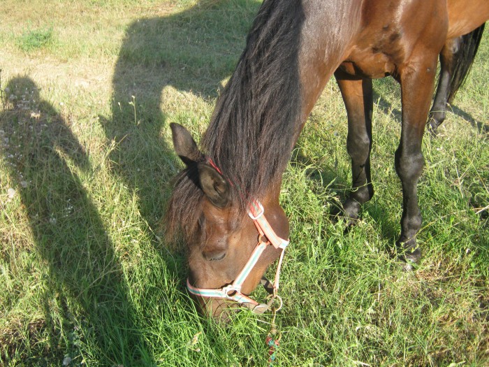 Photo de profil de julie30820