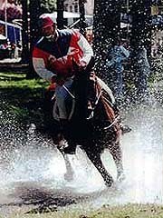 Photo de profil de harasdorain