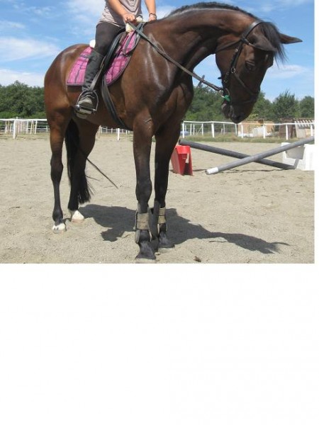 Photo de profil de nadiadesaintlys