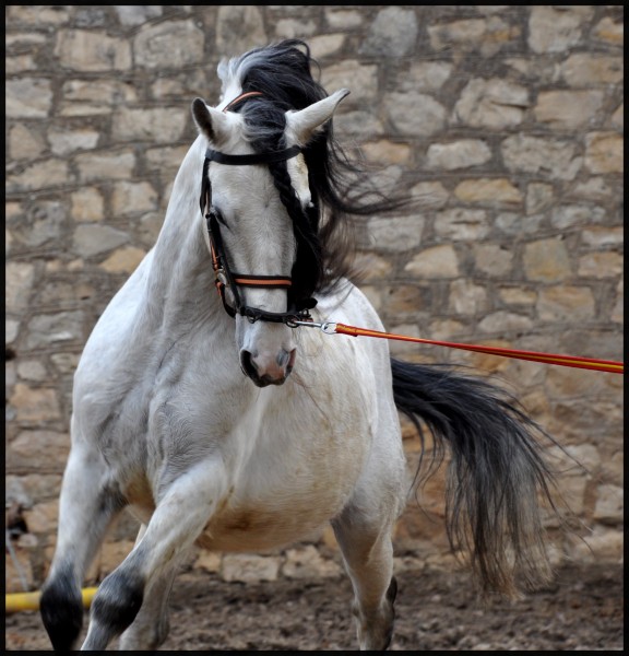 Photo de profil de kezako