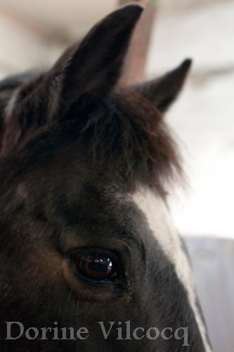 Photo de profil de dorine62