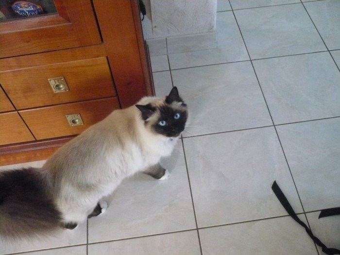 Photo de profil de lauradeparis