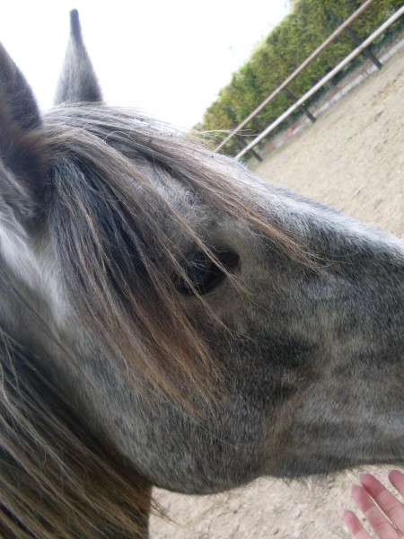 Photo de profil de clalou