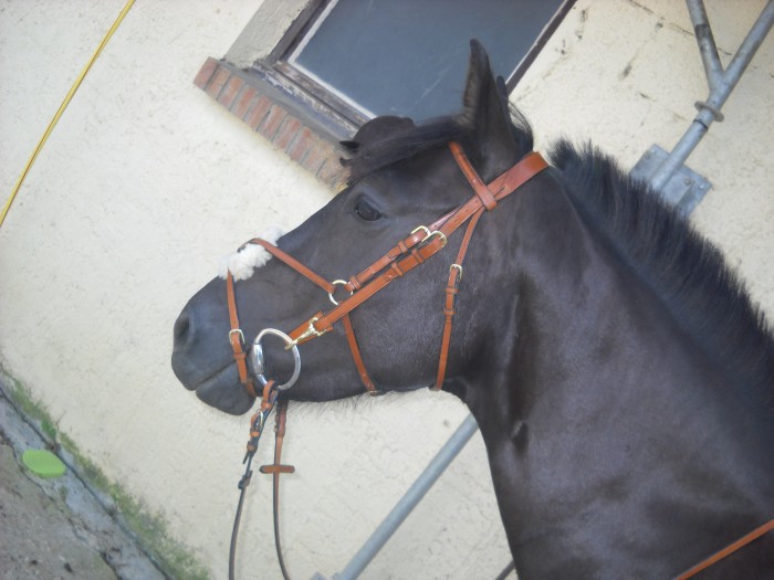 Photo de profil de shashaa