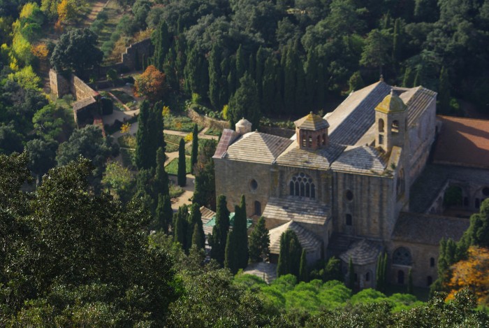 Photo de profil de cheval_star_17