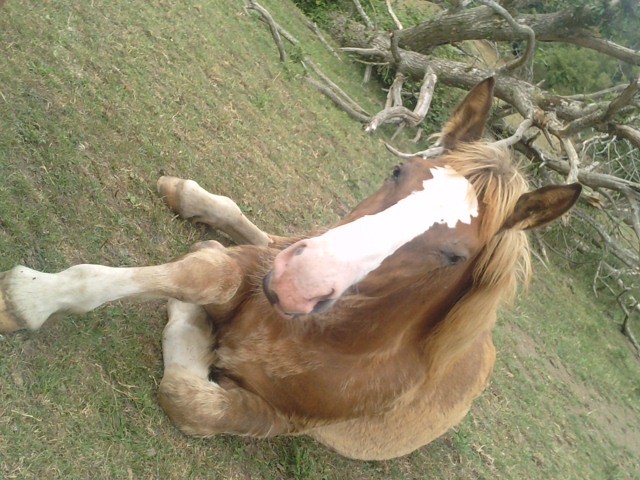 Photo de profil de isabell