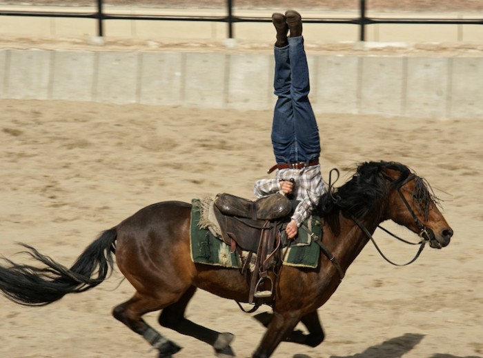 Photo de profil de mellewendy