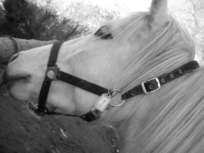 Photo de profil de annaburger