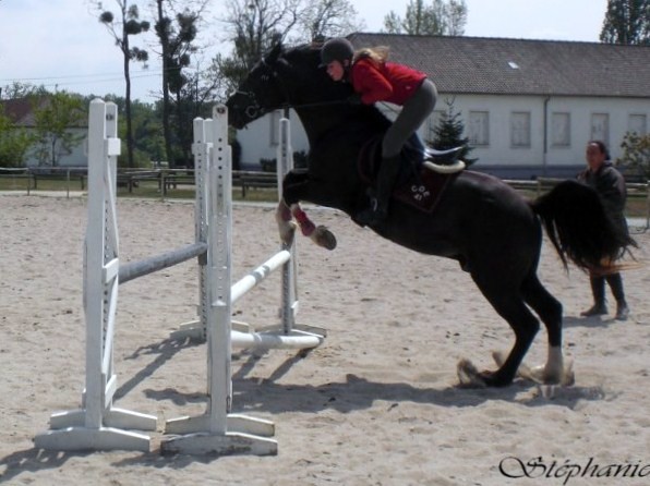 Photo de profil de jdodo