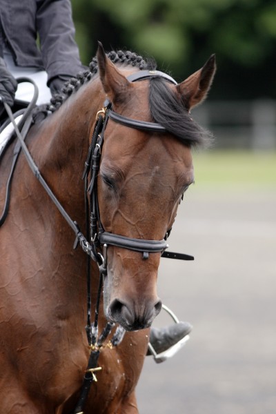 Photo de profil de devil_dream