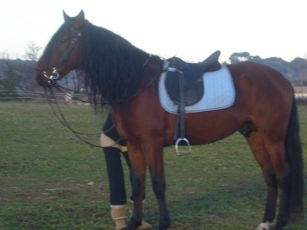 Photo de profil de marouanblan